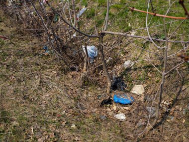 Plastik kirlilik kavramı. İlkbaharda ormanda çöp