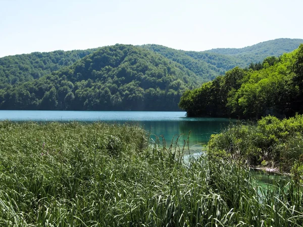 Велике красиве блакитне озеро в центрі Національного парку Плітвицькі озера, Хорватія — стокове фото