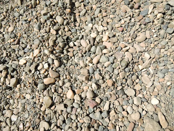 Color pebble stone in background in sunny day — Stock Photo, Image
