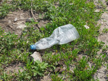 Ormanda plastik şişe atıkları. Plastik kirlilik kavramı