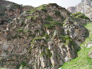 yaz güneşi ile aydınlatılmış yeşil bitki örtüsü ile kaplı kayalık dağların manzarası ile güzel manzara