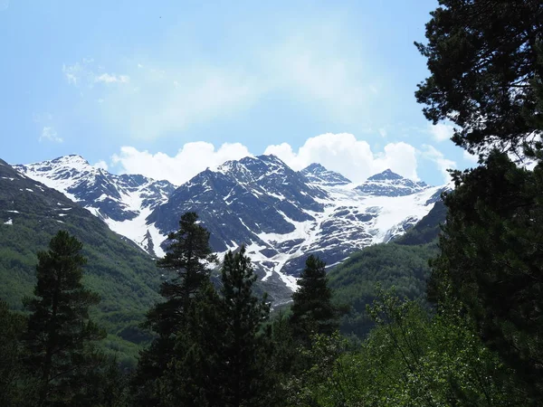 Neve em altas montanhas no verão. paisagem pitoresca em um dia ensolarado — Fotografia de Stock