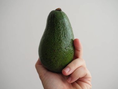 insan elinde yeşil taze olgun avokado