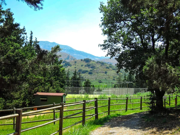 Vista di un cancello della fattoria che conduce in una lussureggiante campagna verde . — Foto Stock