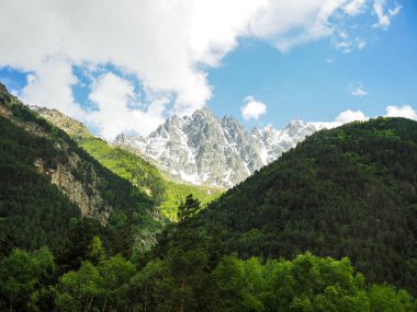 parlak mavi gökyüzü ve beyaz bulutların arka plan üzerinde orman ve iğne yapraklı ağaçlar ve kayalık zirveleri ile kaplı dağlar ile güzel dağ manzara.