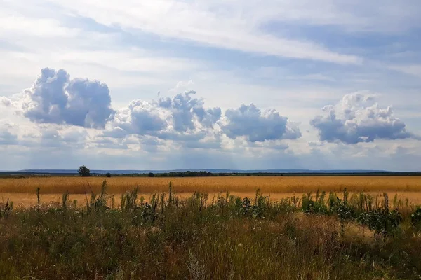 Malerische Landschaft mit Blick auf niedrige Wolken über dem Getreidefeld — Stockfoto