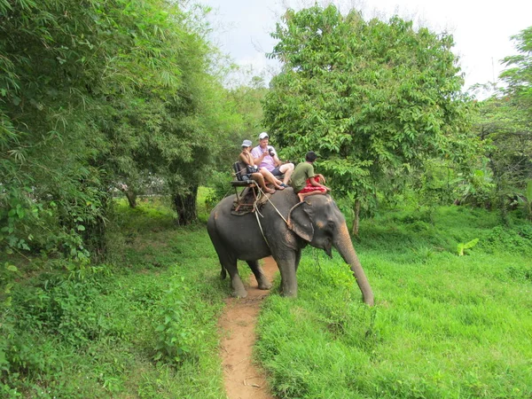 Tourist on an elephant adjusts his camera to make beautiful shots sitting astride an elephant during a Safari in the jungle. Thailand, Phuket - October, 2012 — Stock Photo, Image