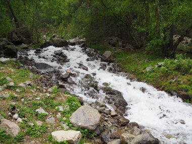 Dağlarda ormanda küçük bir şelale yakın çekim
