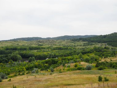 yol ve orman kaplı dağların manzarası ile güzel manzara