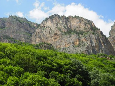 kayalık dağlar ve yeşil çim ente ve çalılar ile kaplı dağların manzarası ile güzel manzara