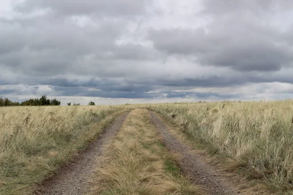 嵐の空に入る草原の道 — ストック写真