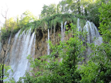 Plitvice Gölleri Milli Parkı Hırvatistan şelale