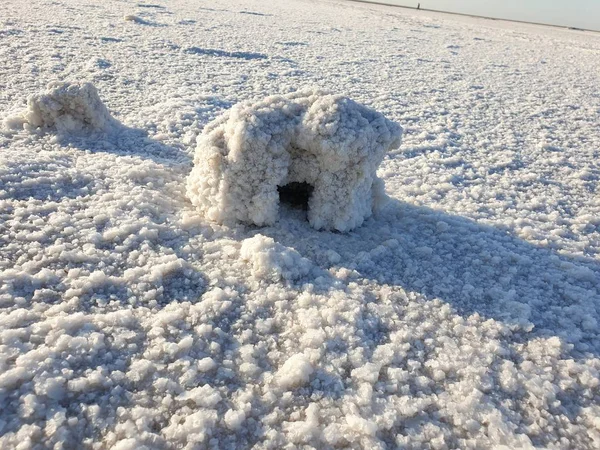 burrow in a salt block on lake Elton at dawn