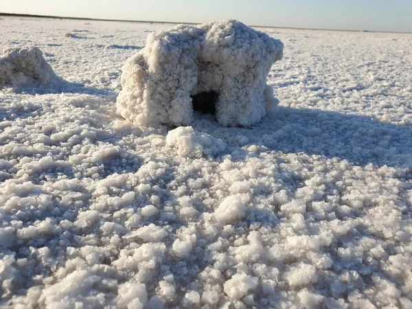 burrow in a salt block on lake Elton at dawn