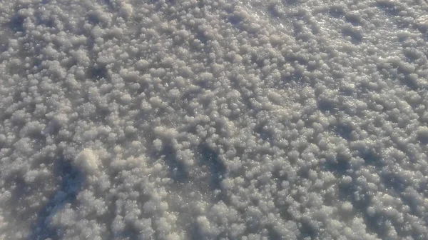 Textura da superfície de sal do lago Elton — Fotografia de Stock