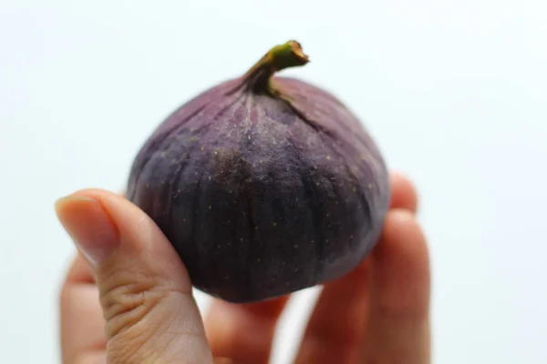 Mogna söta fikon frukter i mänsklig hand isolerad på vit bakgrund — Stockfoto