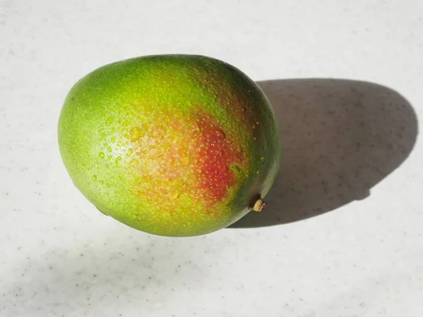 Grands fruits de mangue frais mûrs recouverts de gouttelettes d'eau se trouve sur la table éclairée par le soleil et donnant de l'ombre — Photo
