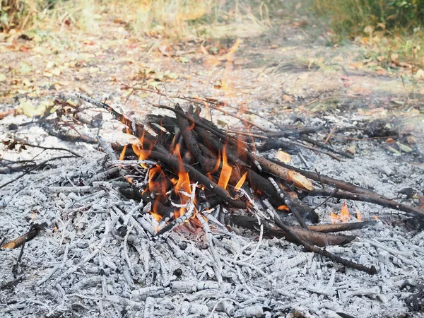 Small fire in nature on a Sunny autumn day