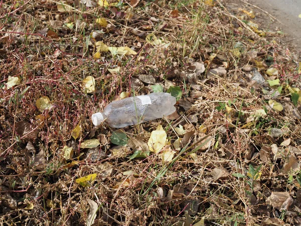 Déchets de bouteilles en plastique dans la forêt. Concept de pollution plastique — Photo