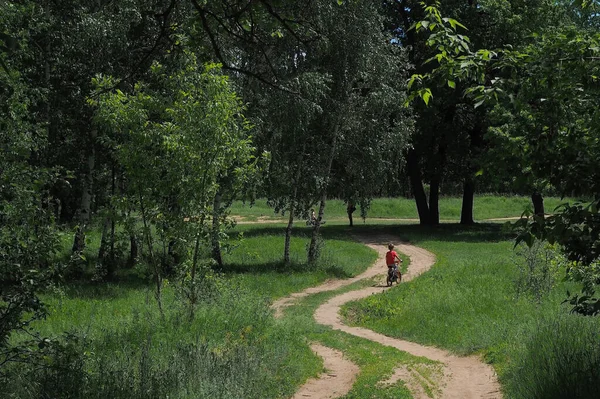 child on a bicycle in the forest in early morning. Boy cycling outdoors.