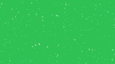 Yüksek kaliteli hareket animasyonu yeşil ekrana düşen karı yeniden canlandırıyor. Krom anahtar. Kar görüntüleri