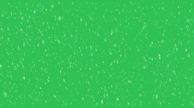 Yüksek kaliteli hareket animasyonu yeşil ekrana düşen karı yeniden canlandırıyor. Krom anahtar. Kar görüntüleri