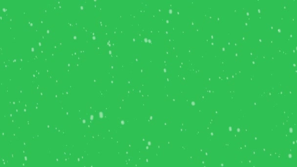 Animación Movimiento Alta Calidad Repesenting Nieve Cayendo Pantalla Verde Clave — Vídeos de Stock