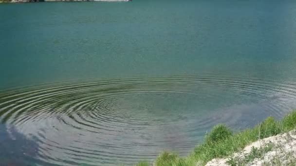 Qualcuno Getta Una Pietra Acqua Sono Grandi Cerchi Che Creano — Video Stock