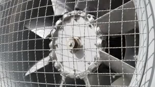 Büyük Endüstriyel Metal Elektrik Havalandırma Fanı Açık — Stok video