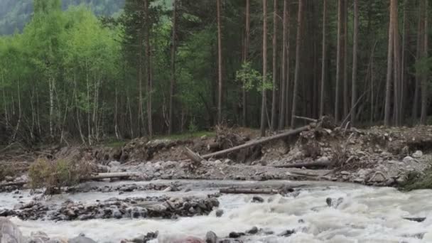 Горный ручей в Альпах летом. Вниз по направлению к водопаду. Чистая вода в лесу . — стоковое видео