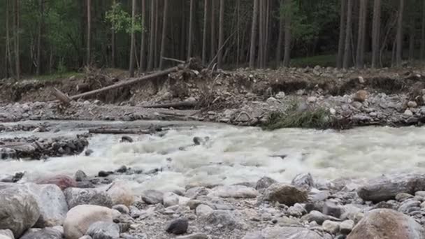 Mountain creek in the Alps at summer. Top down moving forward waterfall . Clear water in the forest. — Stock Footage Mountain creek in the Alps at summer. Top down moving forward waterfall . Clear water in the forest. Royalty Free Stock Video