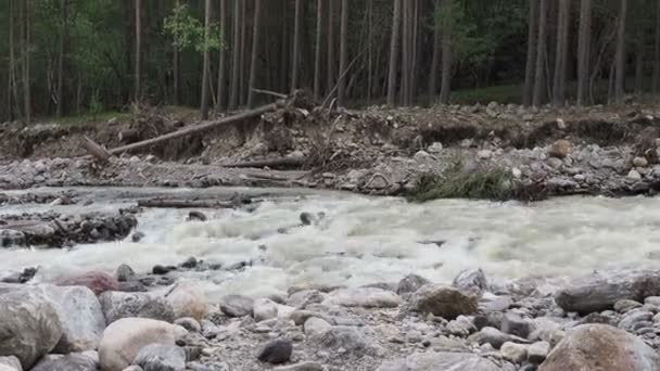 Arroyo de montaña en los Alpes en verano. Arriba hacia abajo moviéndose hacia adelante cascada. Agua clara en el bosque . — Vídeos de Stock