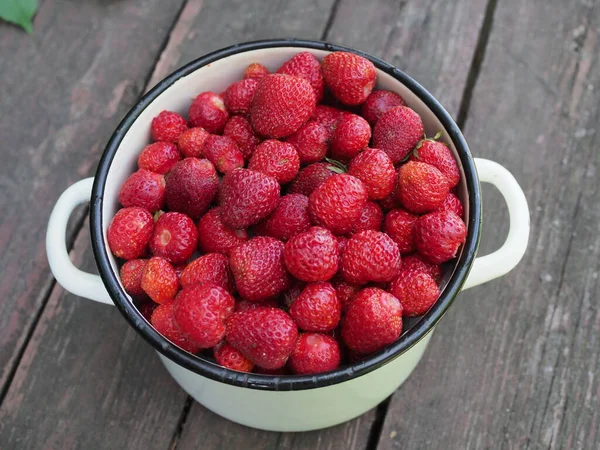 Primer Plano Fresas Recién Recogidas Casa Jardín Orgánico Cultivadas Parcela — Foto de Stock