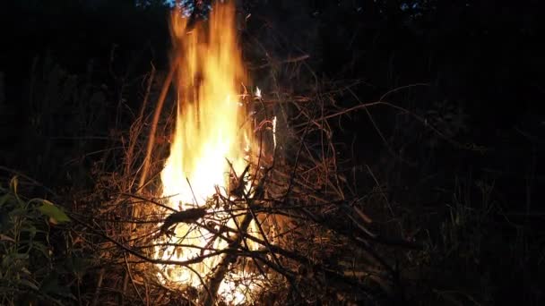 火事だ そのたき火は森の中で燃える 燃える炎の質感 森の中で料理をするための焚き火 乾燥した枝を燃やす 森の中の観光火災 燃える枝の質感 — ストック動画