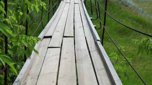가로지르는 다리와 하늘을 초원에 매달려 — 비디오