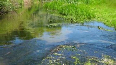 Temiz küçük su akıntısı veremden berrak suya akar. Güneşli bahar havasında, ormandaki çimlerin arasında çakıl taşları vardır. Yakın görüş. Dar akış doğada akar.