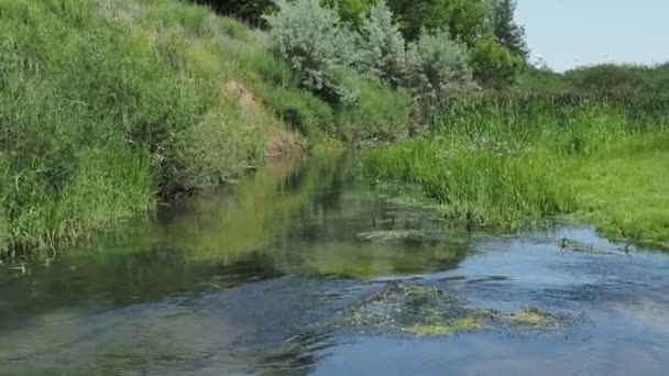 Czysty Mały Strumień Wody Spływa Gruźlicy Czystej Wody Kamyczkami Dnie — Wideo stockowe
