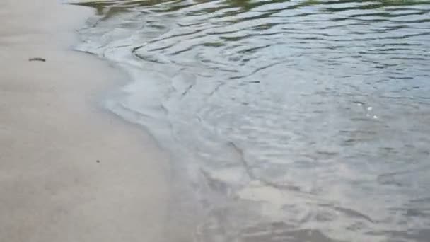 Arena Amarilla Visible Través Del Agua Clara Ondulada Del Río — Vídeo de stock