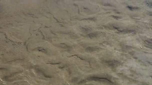 澄んだ波状の川の水を通して黄色の砂が見える クリスタルクリア川 砂のストリームの下部にある 天然資源としての水の環境保護と保全 小さな波 — ストック動画
