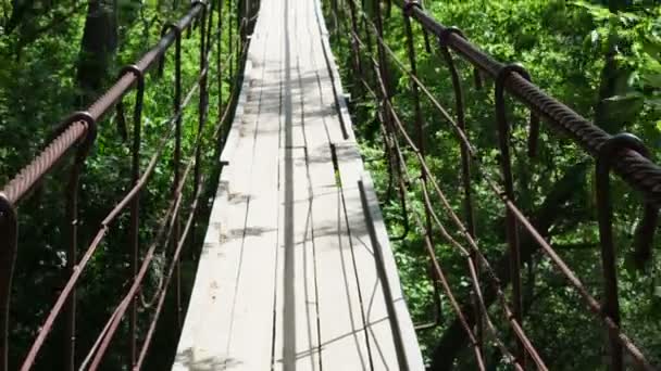 Pont Suspendu Bois Sur Rivière Prairie Menant Ciel — Video