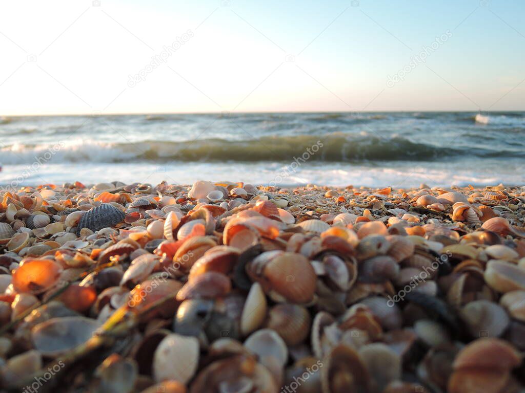 Beautiful seashell beach at sunset by the sea
