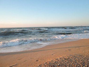 Deniz kenarında gün batımında güzel deniz kabuğu kumsalı.