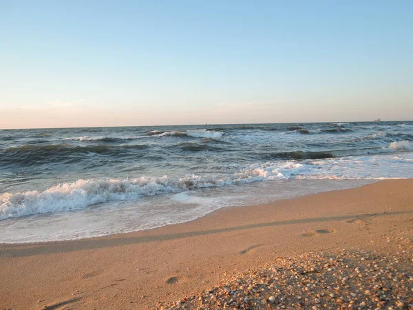 Όμορφη Παραλία Seashell Στο Ηλιοβασίλεμα Από Θάλασσα — Φωτογραφία Αρχείου