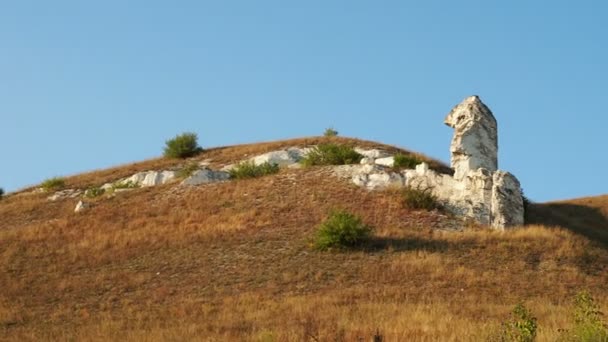 Complexe Culturel Historique Divnogorie Dans Région Voronej Russie — Video