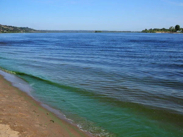 Algas Verdes Superfície Água Água Florescente Consequência Estrutura Barragem Poluição — Fotografia de Stock