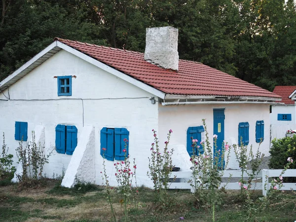 Винтажный Белый Дом Голубыми Ставнями Красной Крышей — стоковое фото