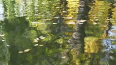 Ağaçlardan düşen renkli parlak sarı ve turuncu yapraklar göletteki suyun yüzeyinde yüzer. Su dalgalarının ve güneş ışınlarının yüzeyi parıldıyor ve parıldıyor.