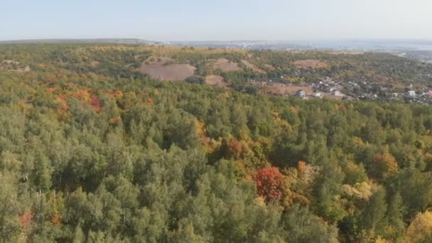 空中展望林 秋の森の空中ドローンビュー 美しい緑と黄色の秋の森 鬱蒼とした森 — ストック動画