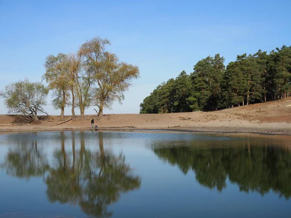 Gyönyörű Természet Táj Zöld Erdő Fenyő Tükröződik Víz Felszínén Backwater — Stock Fotó