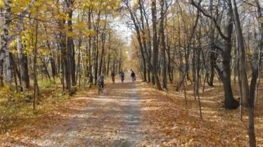 Rusya, Saratov - Ekim 2020: Boş sonbahar parkında bisiklet süren bir grup erkek ve kadın bisikletçi. Genç sporcu kadınlar ve erkekler sonbahar ormanlarında bisiklet eğitimi alıyorlar.